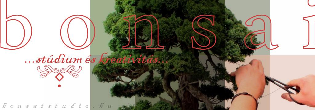 bonsai fa alakitasa a marczika bonsai studioban metszes drotozas es alakitas